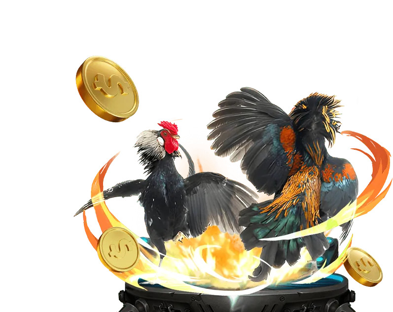 Lịch sử phát triển của 11bet casino